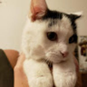 Meet your Posher, Evan